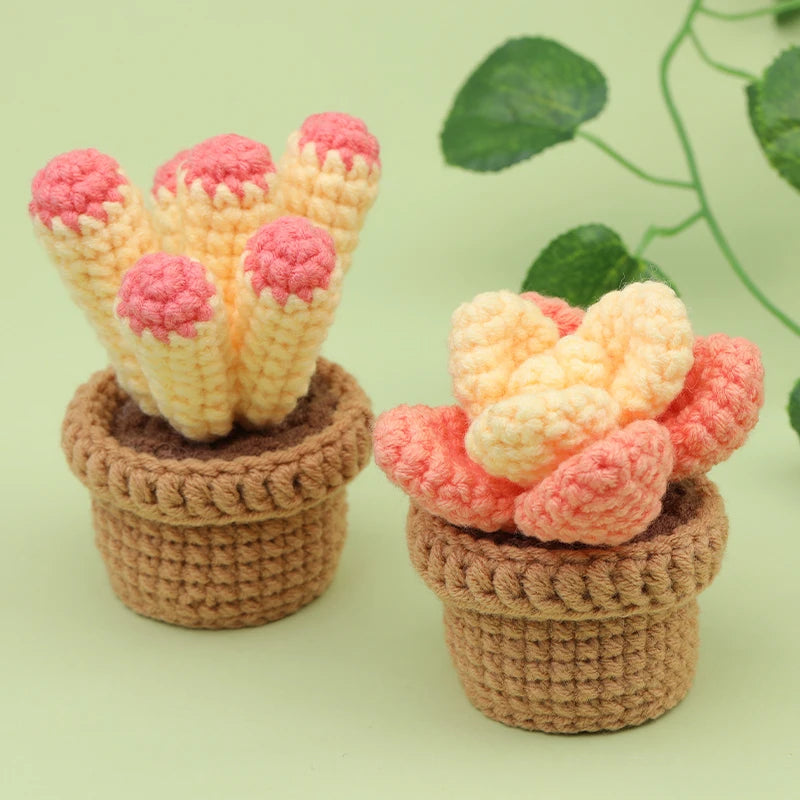 CactusCroch – Beginner Crochet Kit for Potted Plant Keychains