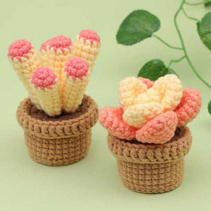 CactusCroch – Beginner Crochet Kit for Potted Plant Keychains